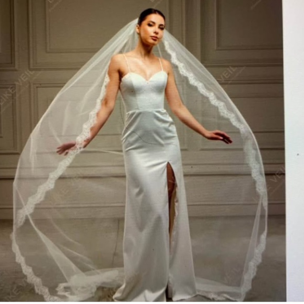 Light Ivory Lace Trimmed Veil